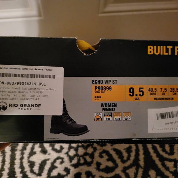 Caterpillar - Picture 2 of 4